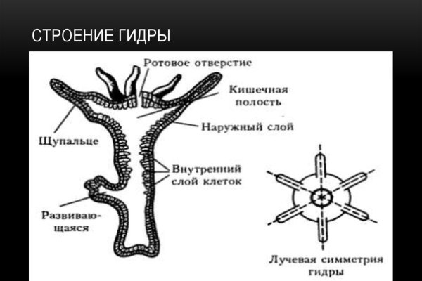 Kraken ссылка для тору