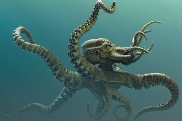 Kraken сайт вход