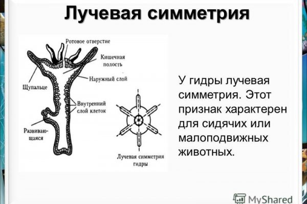 Как зарегистрироваться на сайте кракен